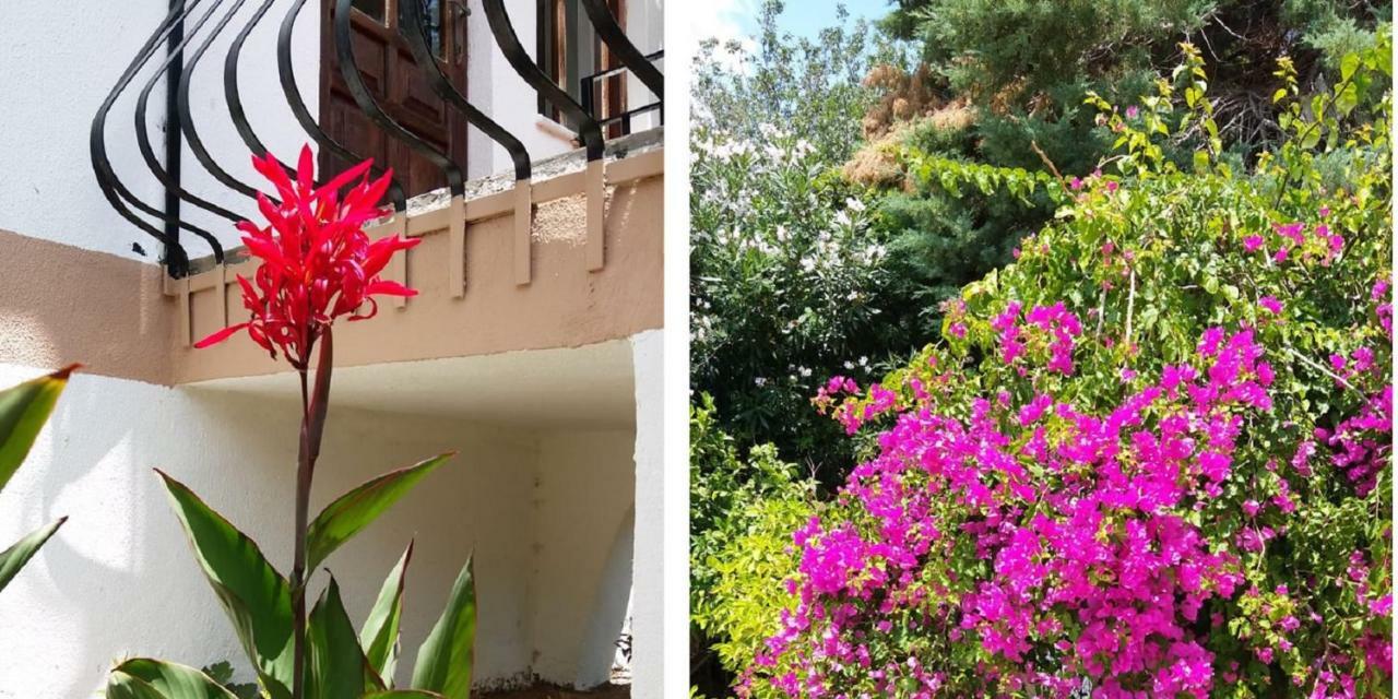 Kas Lemon Hotel Luaran gambar